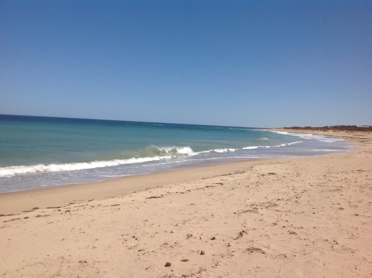 Seaspray Beach Holiday Park Dongara Bagian luar foto